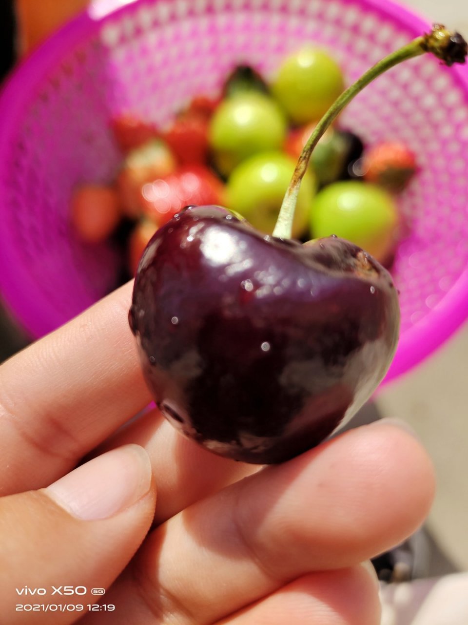 抖音推荐《最佳契合》何岸郑飞鸾txt完结已有,已有,已有