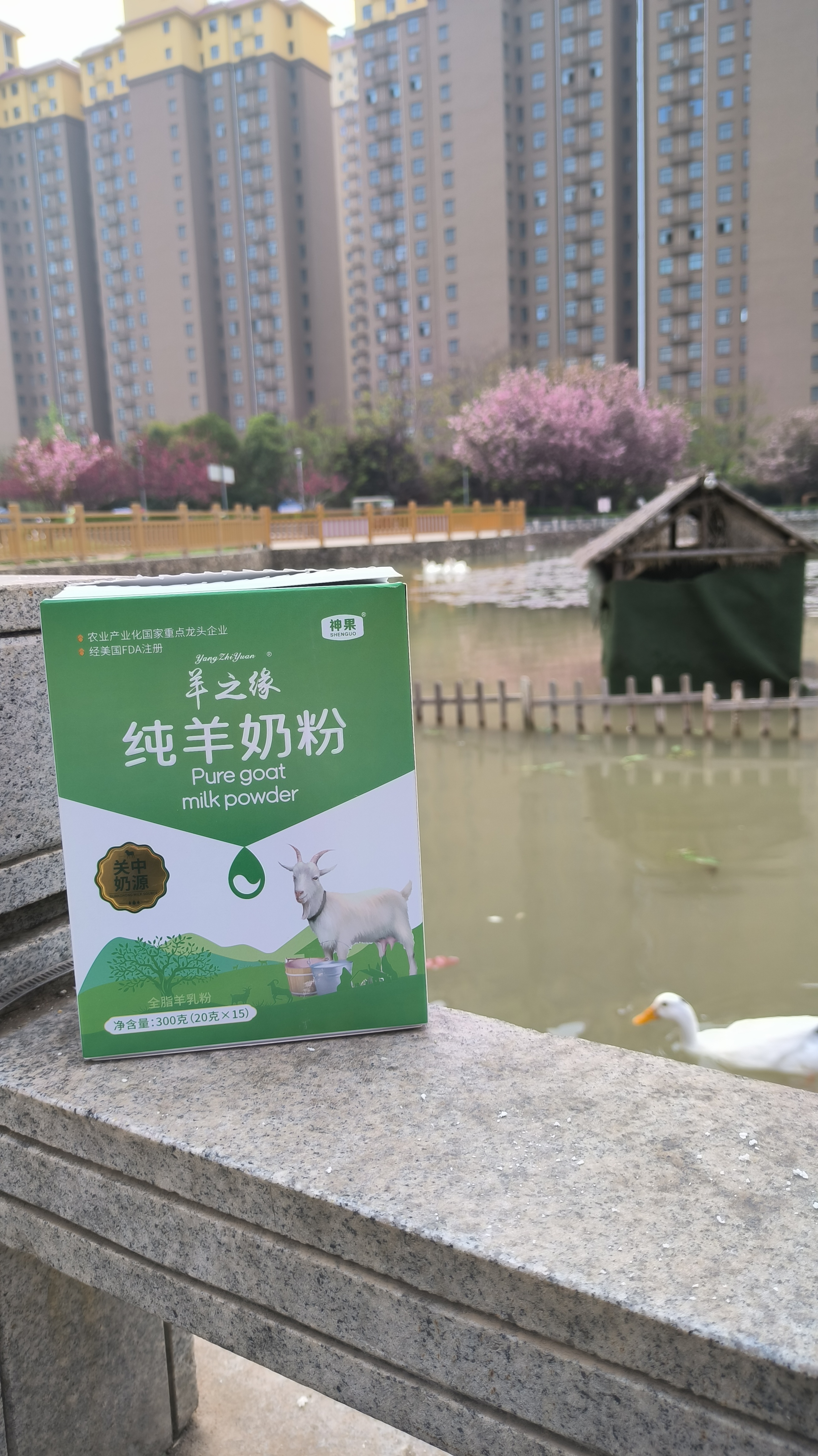 而在这宁静的背景之下,一盒纯羊奶粉静静地展现着自己.