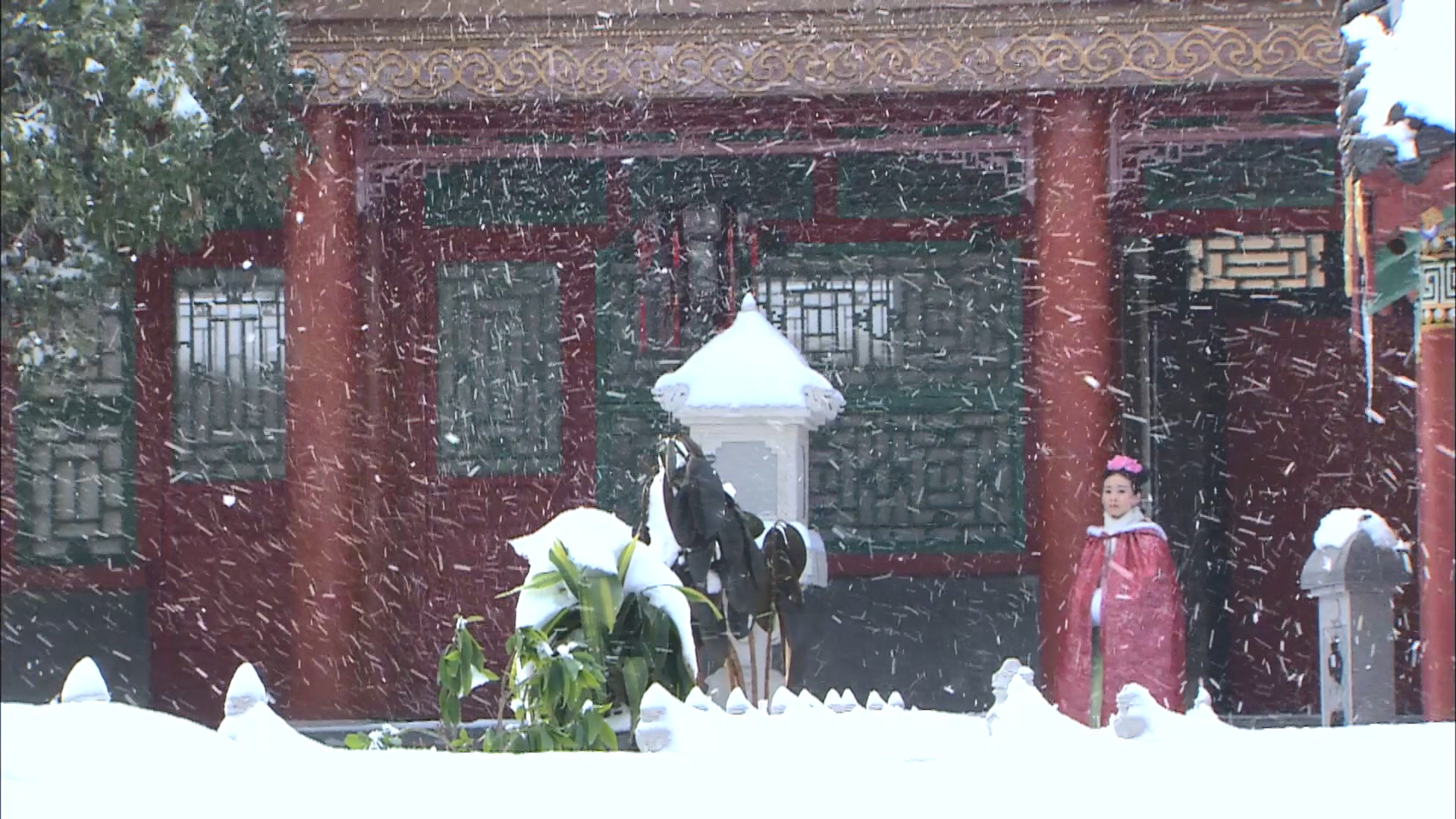 步步惊心看雪图片