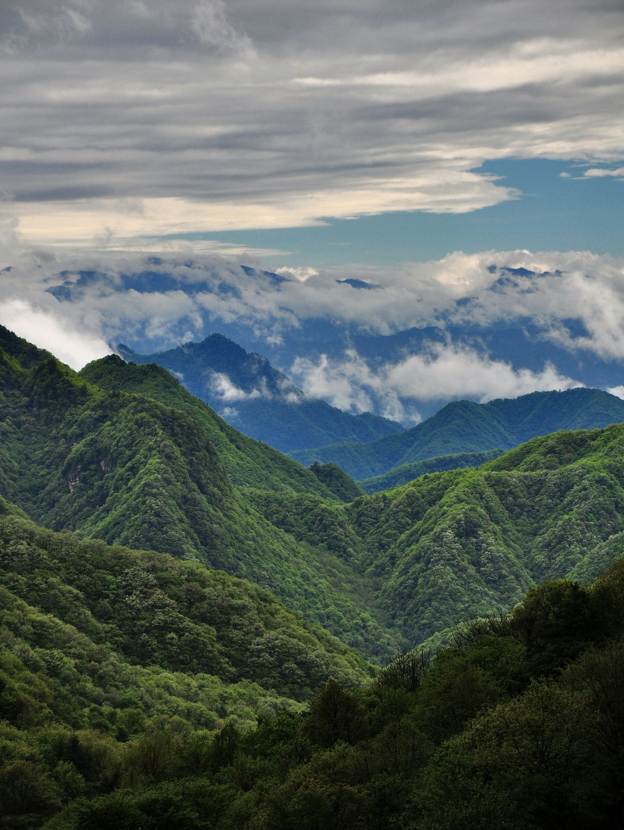 巴颜喀拉山和秦岭图片