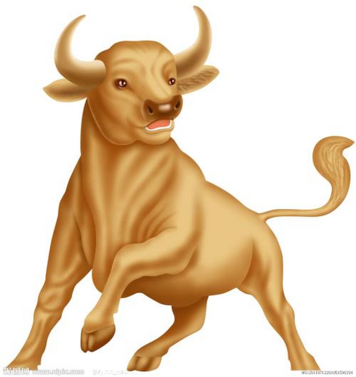 生肖牛  属牛的人是不能被别人瞧不起的,他们的性格非常的顽固,也非常