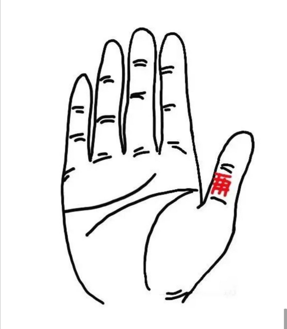 手中有守财纹 所谓守财纹指的是大拇指第二节指腹中的横纹或竖纹,亦