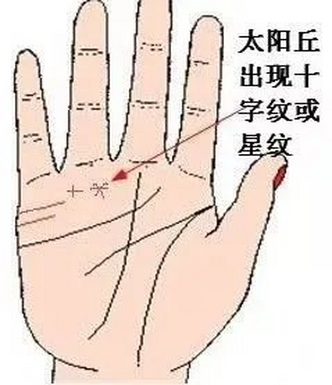 无名指底部称为太阳丘,如果出现星形纹,或是十字纹,表示近期90%会有