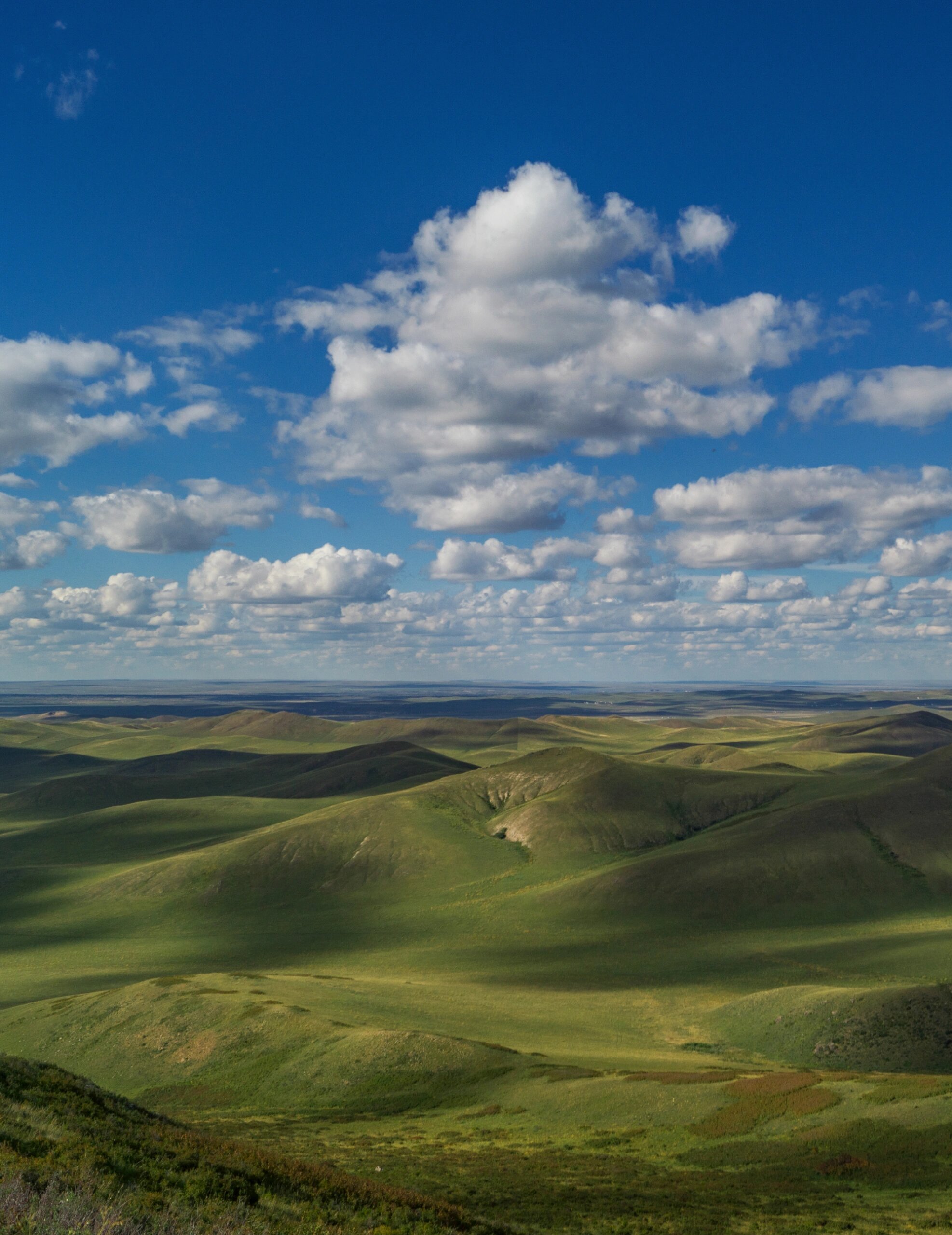 西乌旗| 净域有缘传法胤,千秋曲水绕青原||| 90乌珠穆沁部一带,也许