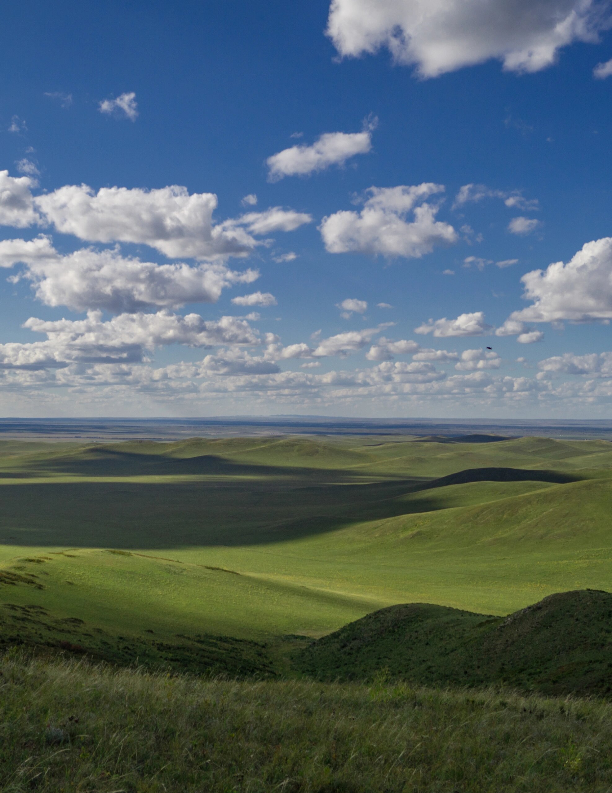 西乌旗| 净域有缘传法胤,千秋曲水绕青原||| 90乌珠穆沁部一带,也许