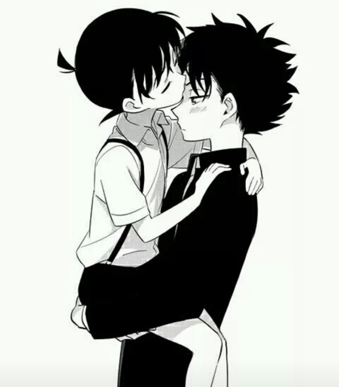 快新,柯基,赤安,你最磕那一对呢