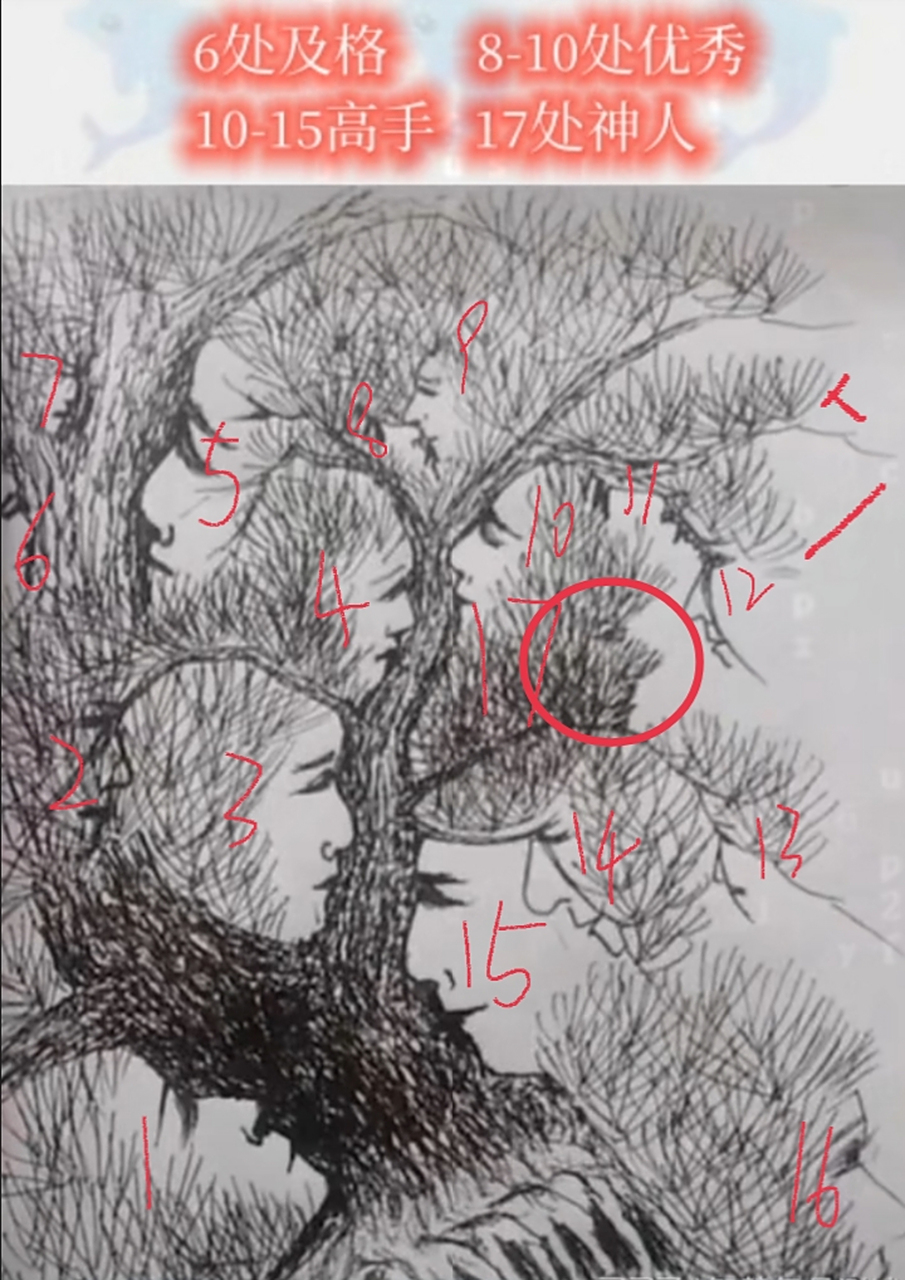 看图找人脸,看一下第17张脸到底是不是红色圈圈内的.