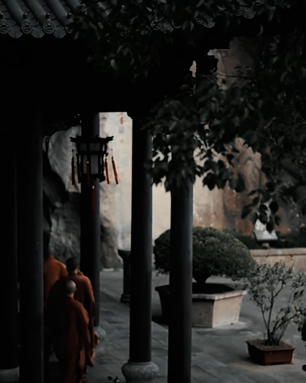 知道食伤女,为什么对男人不屑,看不上男人?