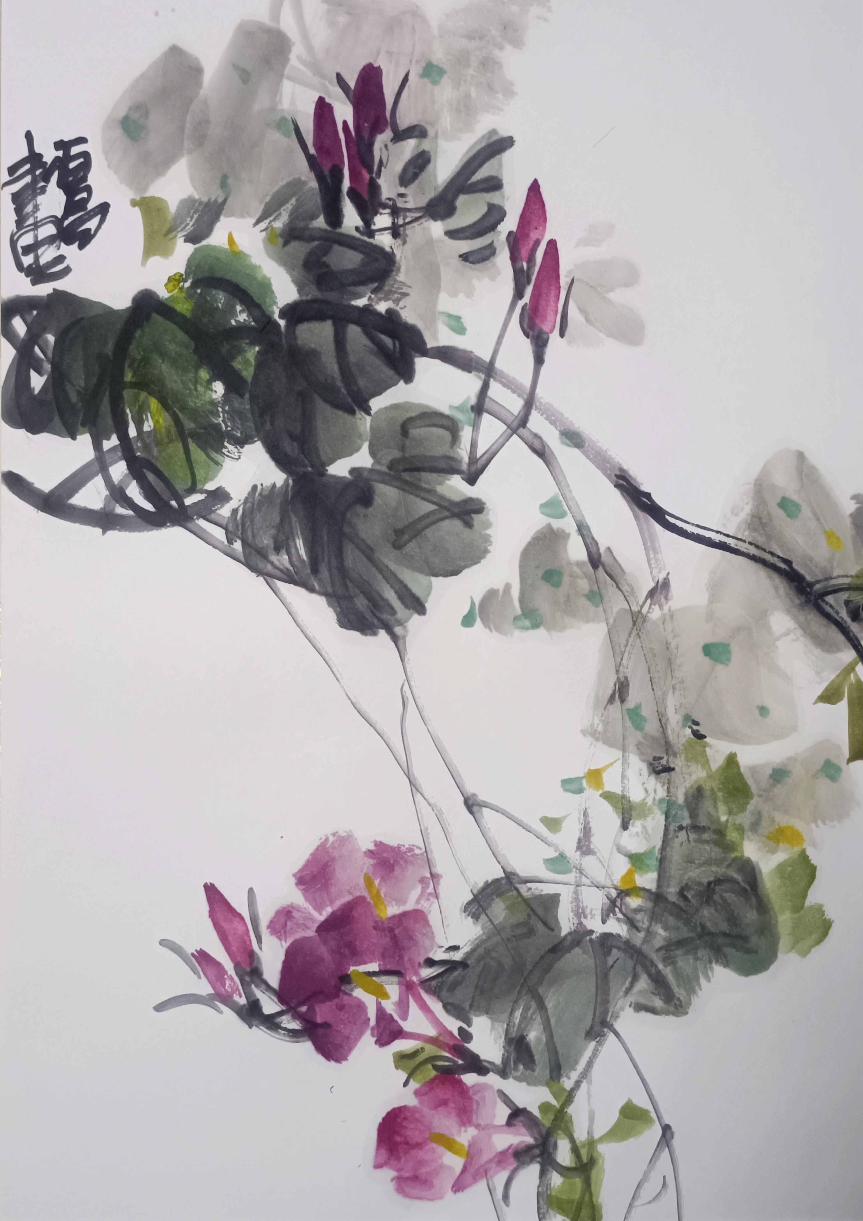 甘肃赵佰昌写意花鸟册页#花鸟国画苑# #画画交流组# #花鸟国画苑