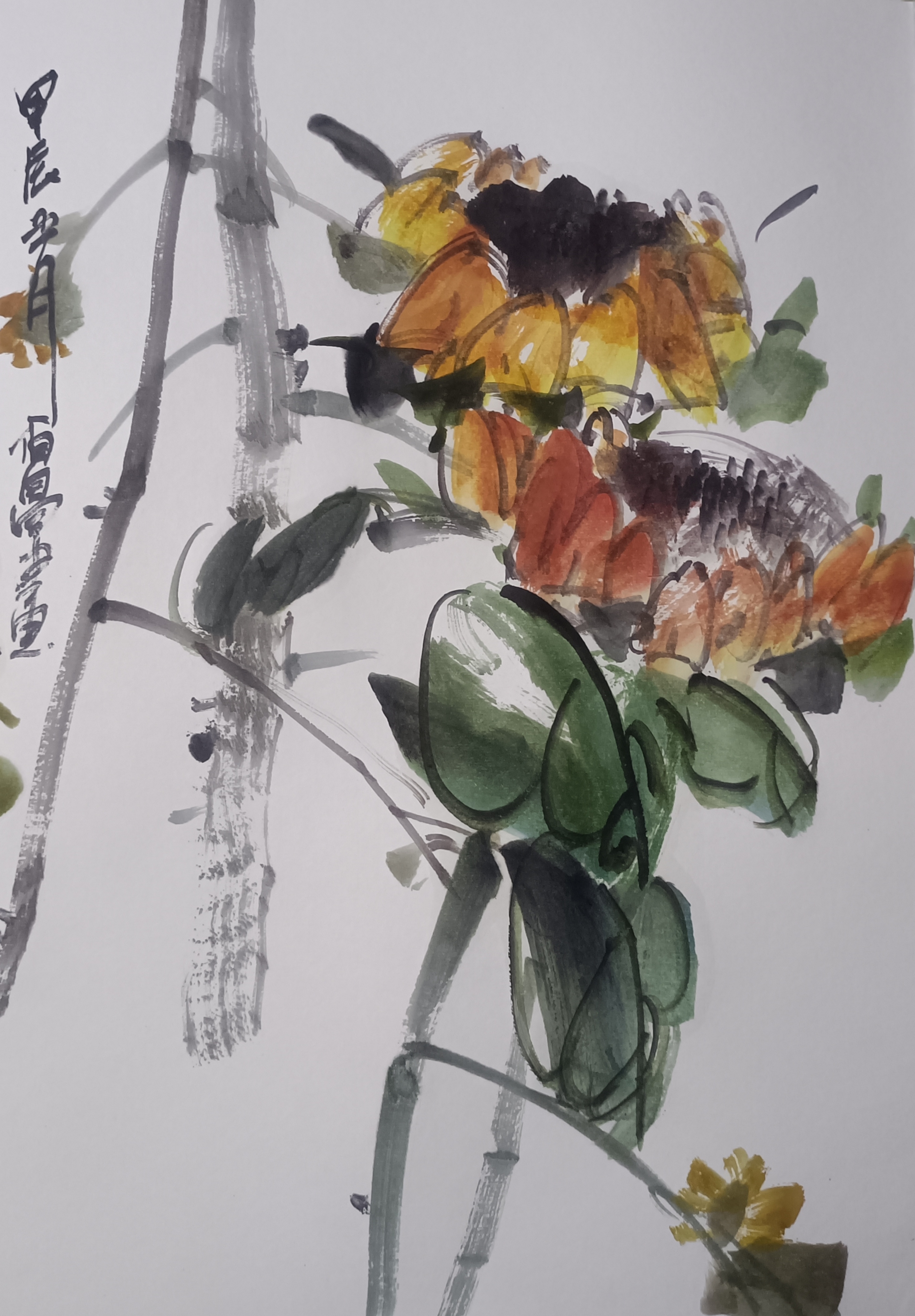 甘肃赵佰昌写意花鸟册页#花鸟国画苑# #画画交流组# #花鸟国画苑