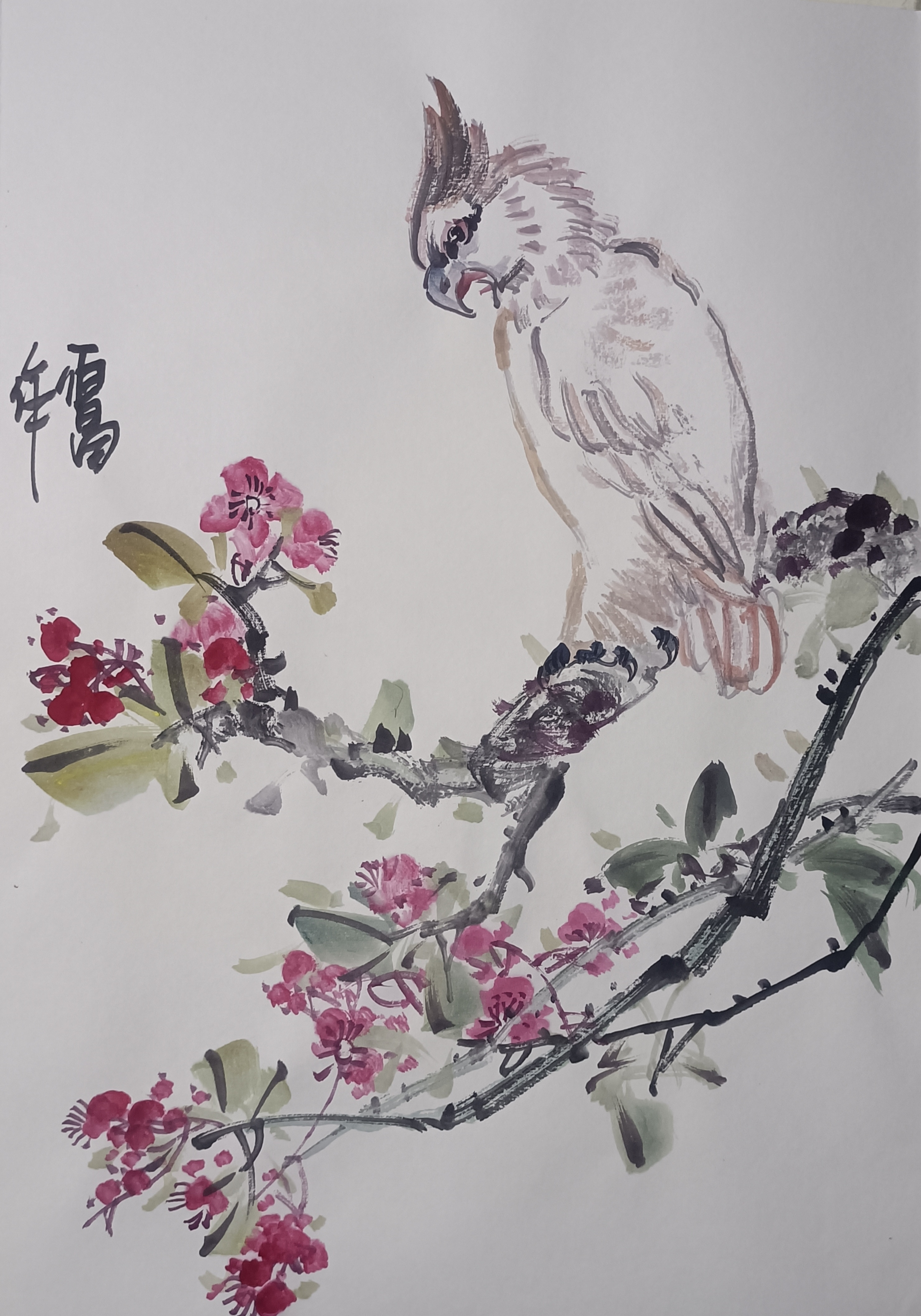 甘肃赵佰昌写意花鸟册页#花鸟国画苑# #画画交流组# #花鸟国画苑