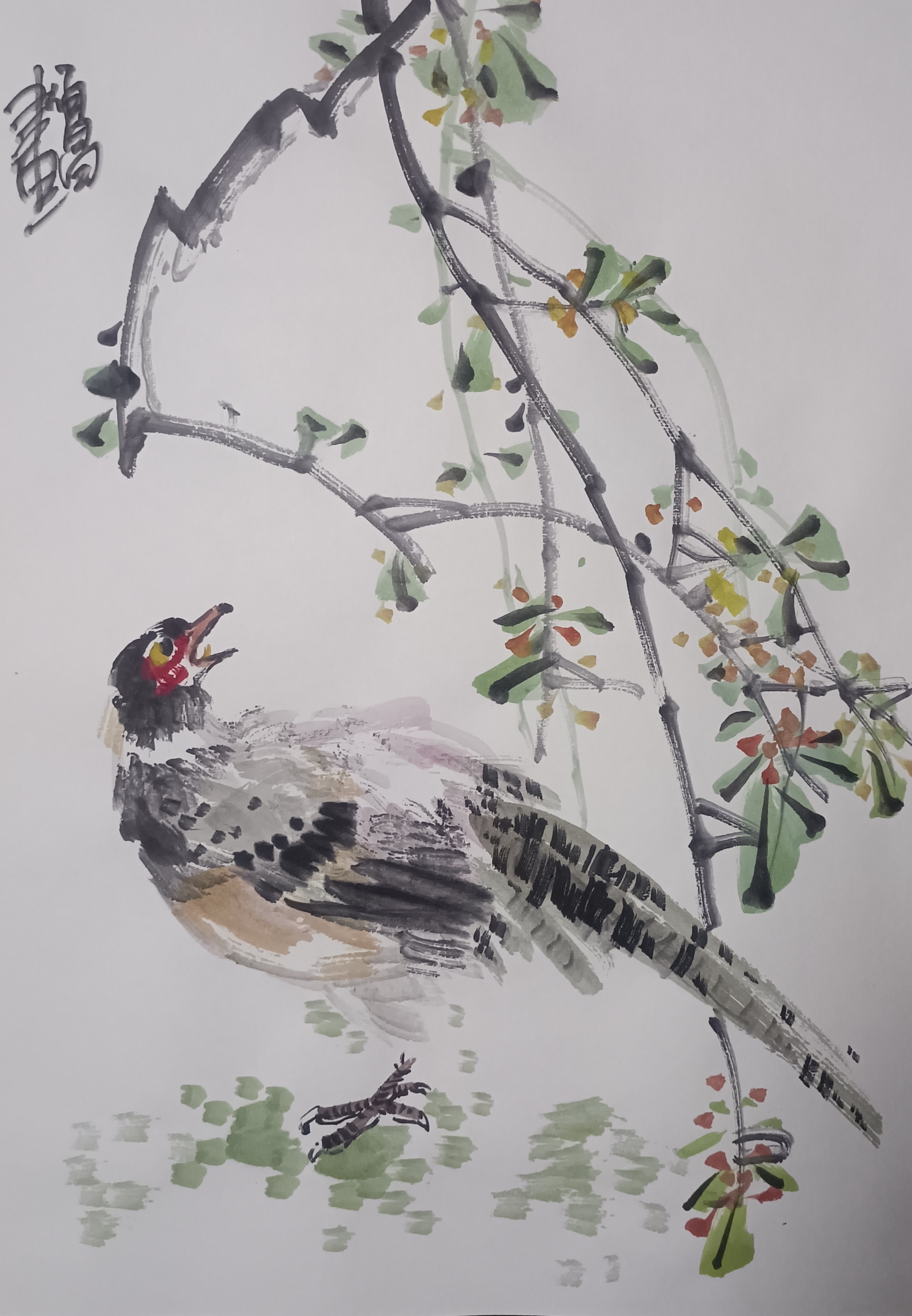 甘肃赵佰昌写意花鸟册页#花鸟国画苑# #画画交流组# #花鸟国画苑