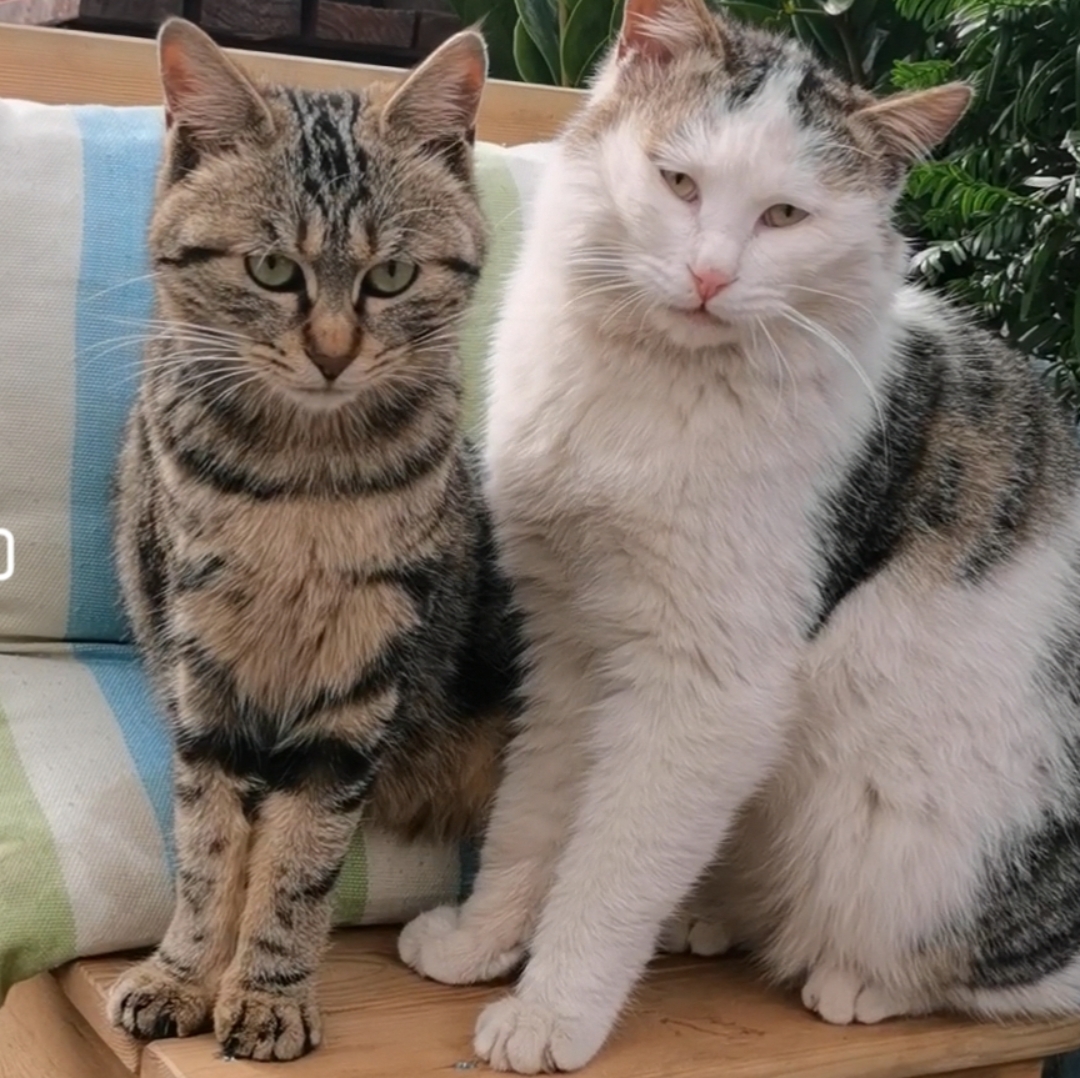 突然想起少女时代的自己,暗恋一个男同学,每天巴不得从谁念叨我呢图片