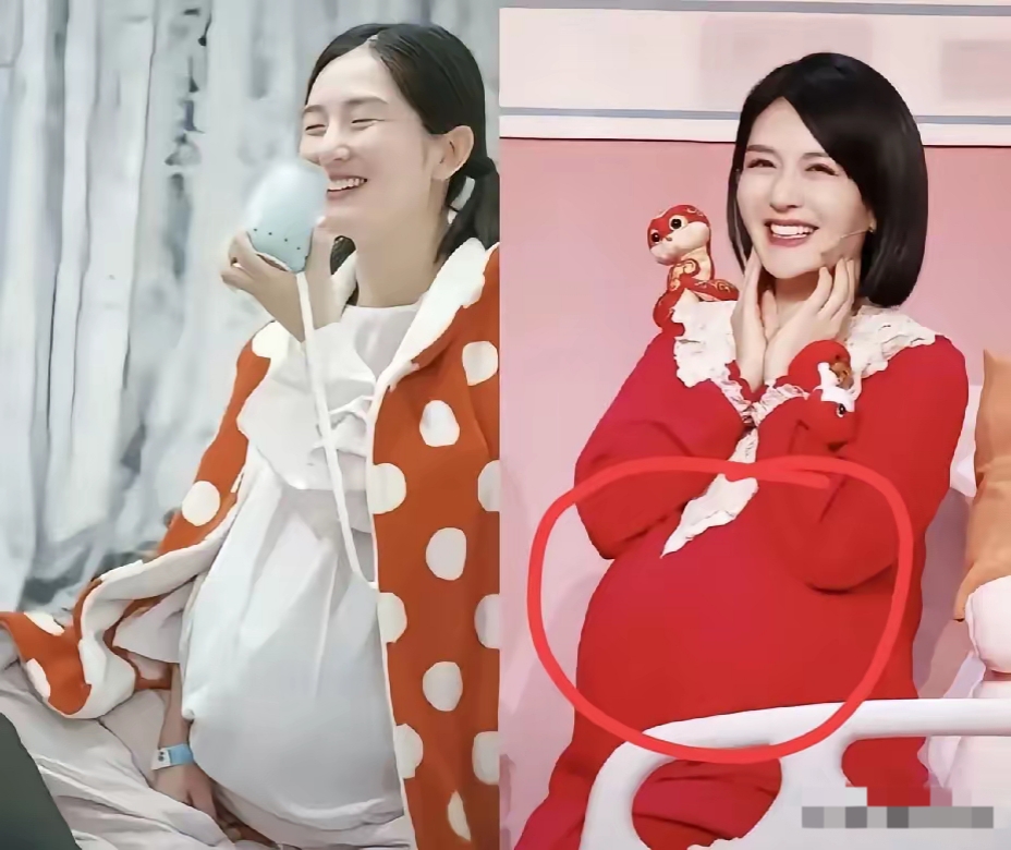 网友竟然说谢娜不生儿子绝不封肚!