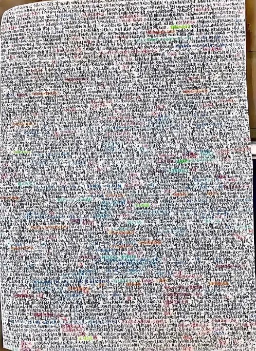 上面密密麻麻的字海,看得我眼睛都花了,也没瞧出来写得是啥,得找个