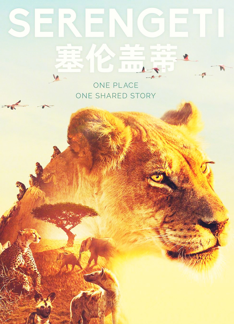 纪录片#塞伦盖蒂 弱肉强食,优胜劣汰.