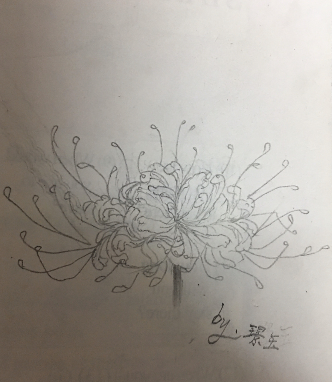 最近画了朵彼岸花[嘻嘻][嘻嘻][嘻嘻]