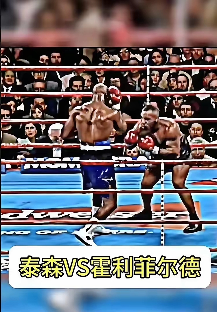 个人认为,重量级拳击历史上最强的对战是泰森vs霍利菲尔德.