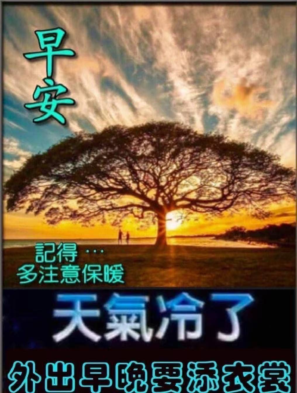 过去已成定局,纠结再多也无用.抬头向前走,才能遇见新的美好