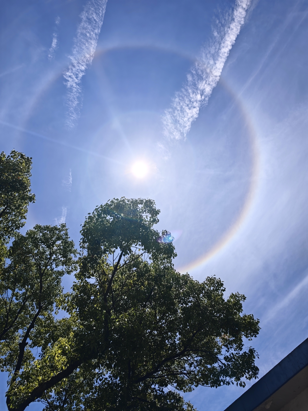 太阳周围出现的光圈是一种称为日晕