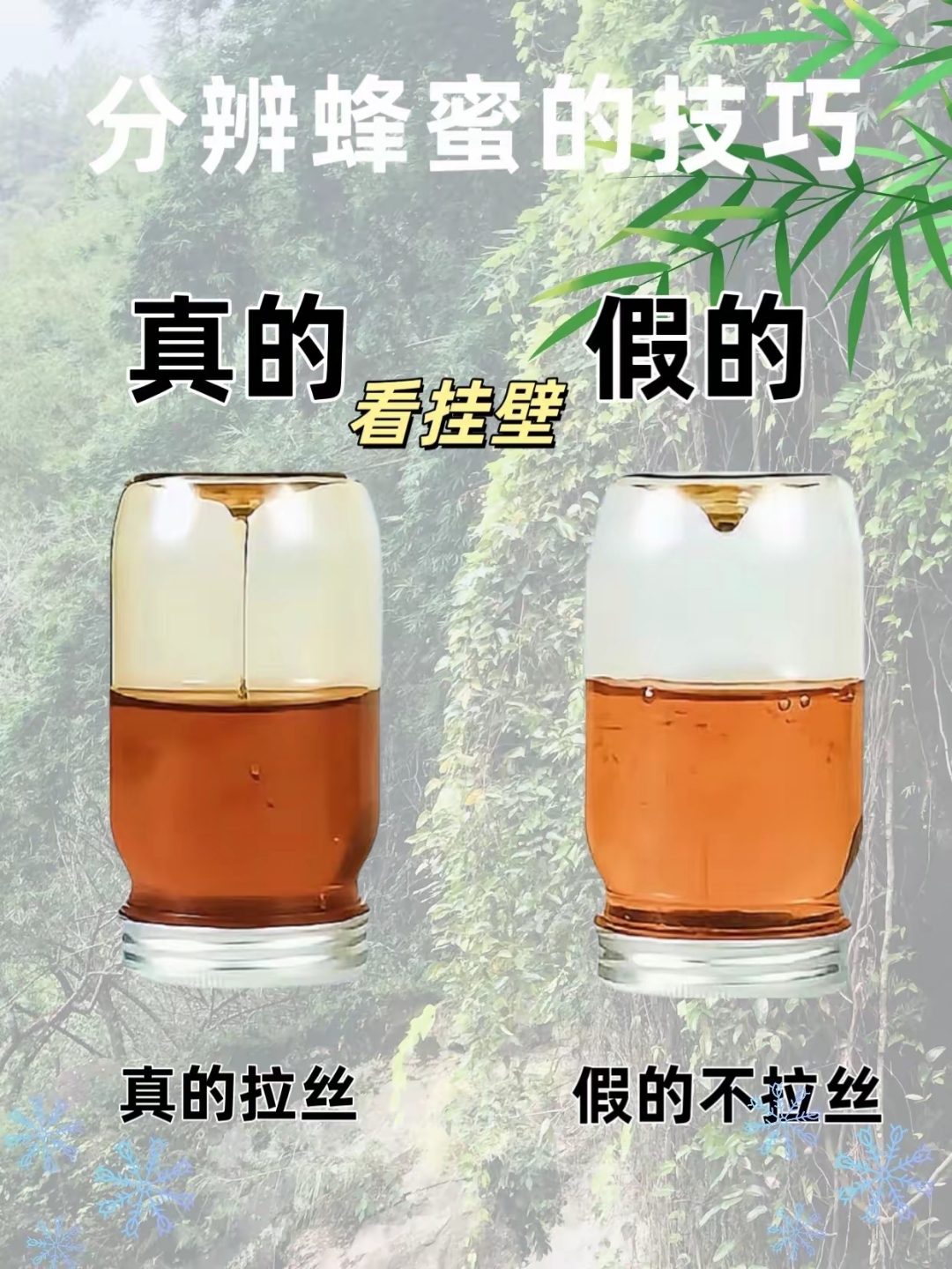 怎么辨认真假蜂蜜的鉴别方法图片(怎么辨认真假蜂蜜的鉴别方法图片大全)