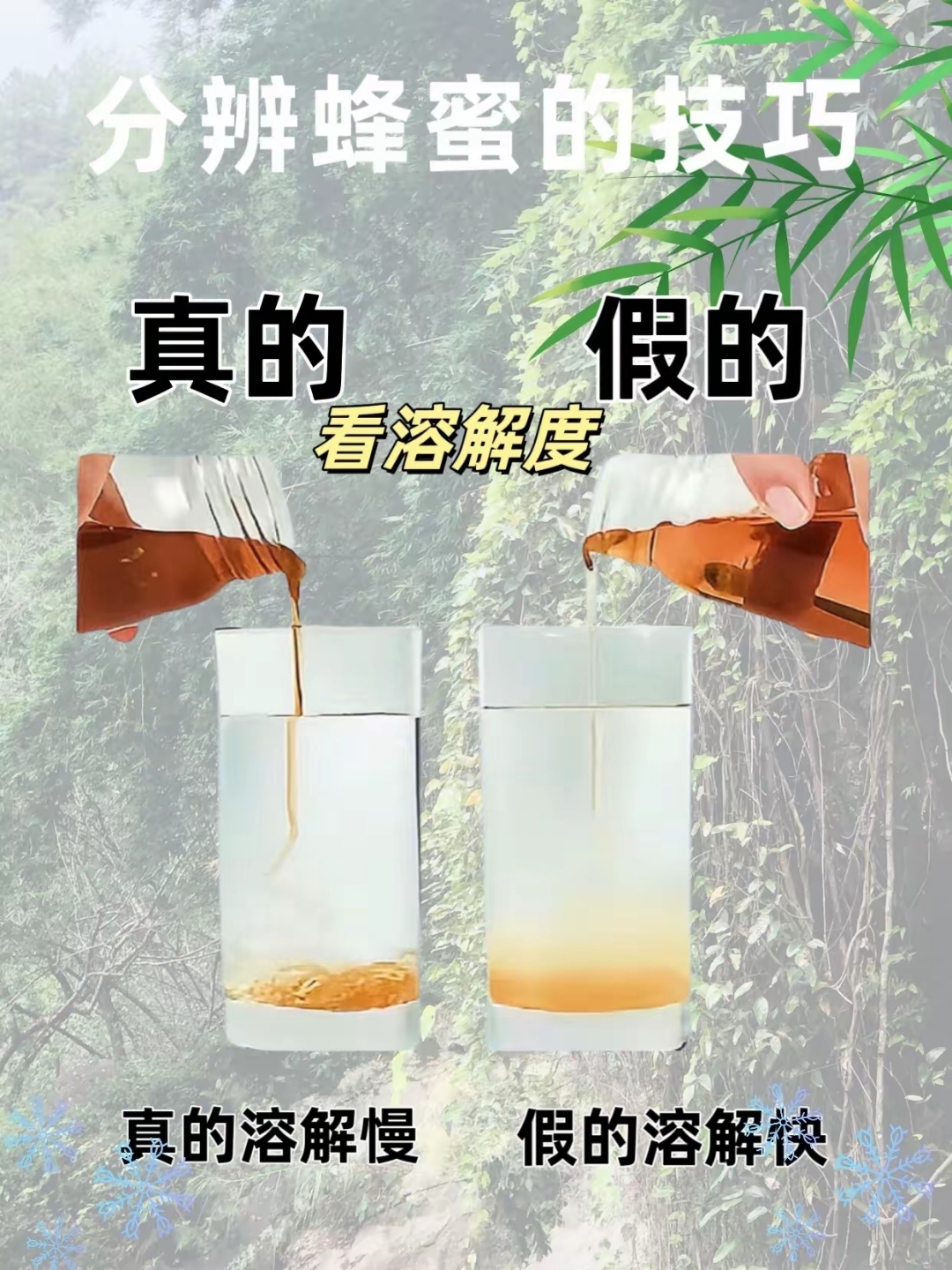 蜂蜜的鉴别方法有哪些(蜂蜜的鉴别方法有哪些种类)