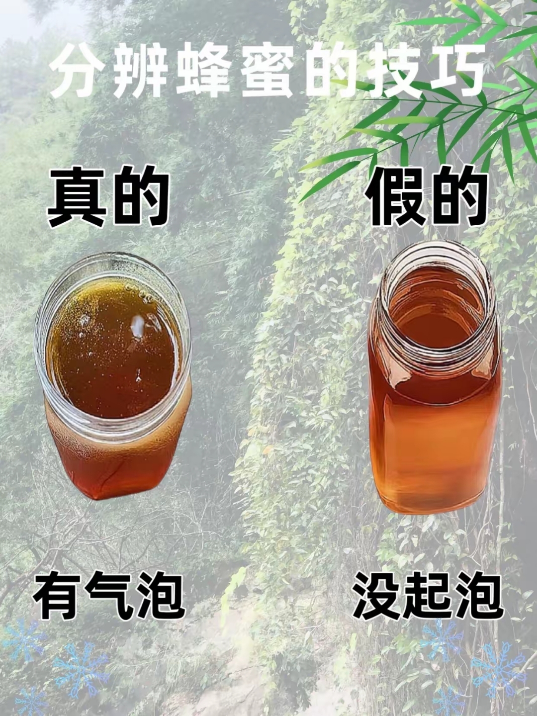 真假蜂蜜怎样辨认(请问真假蜂蜜怎样辨认)