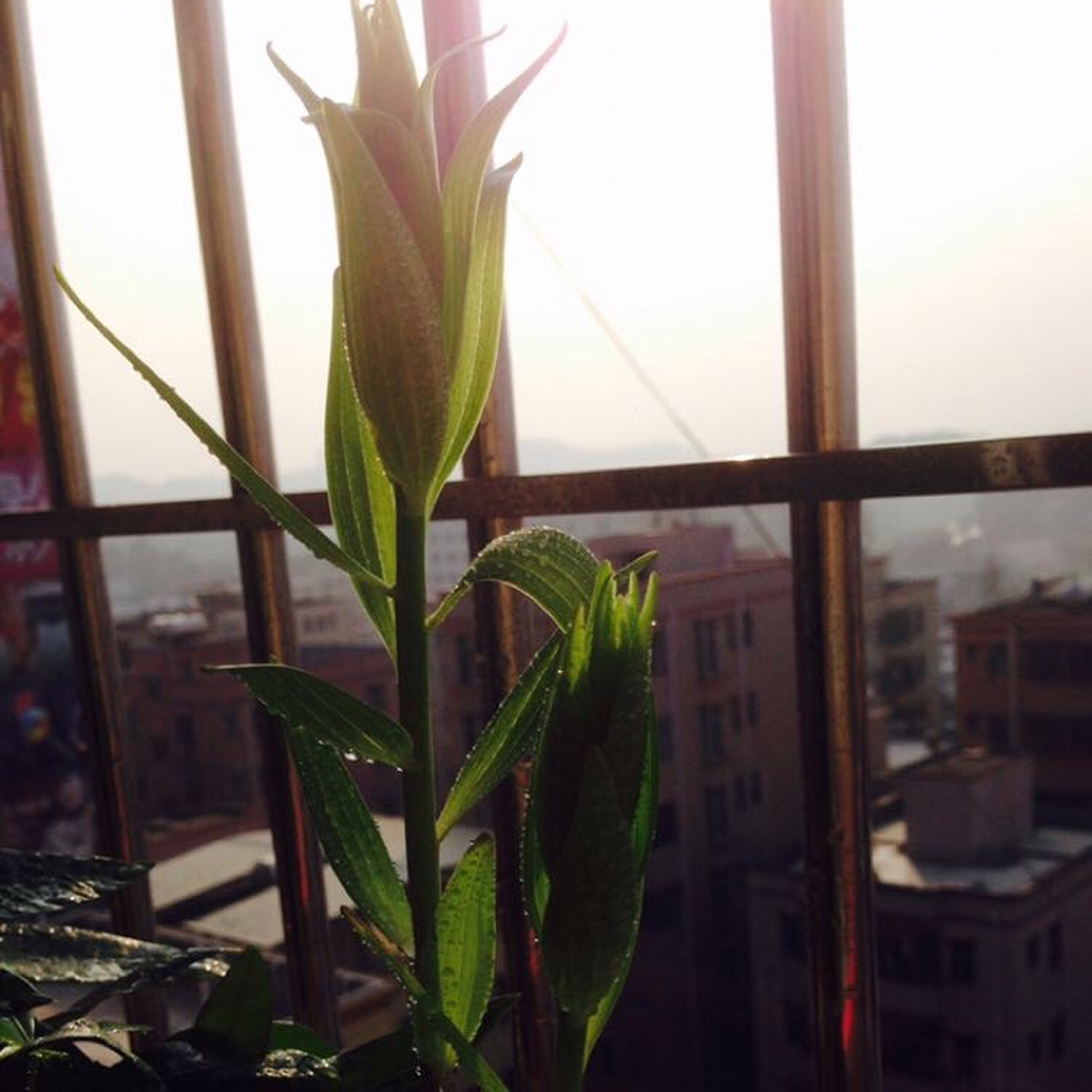 法定最低刑责年龄下调至12周岁# 本人博一下自己原先写过的文章,也是