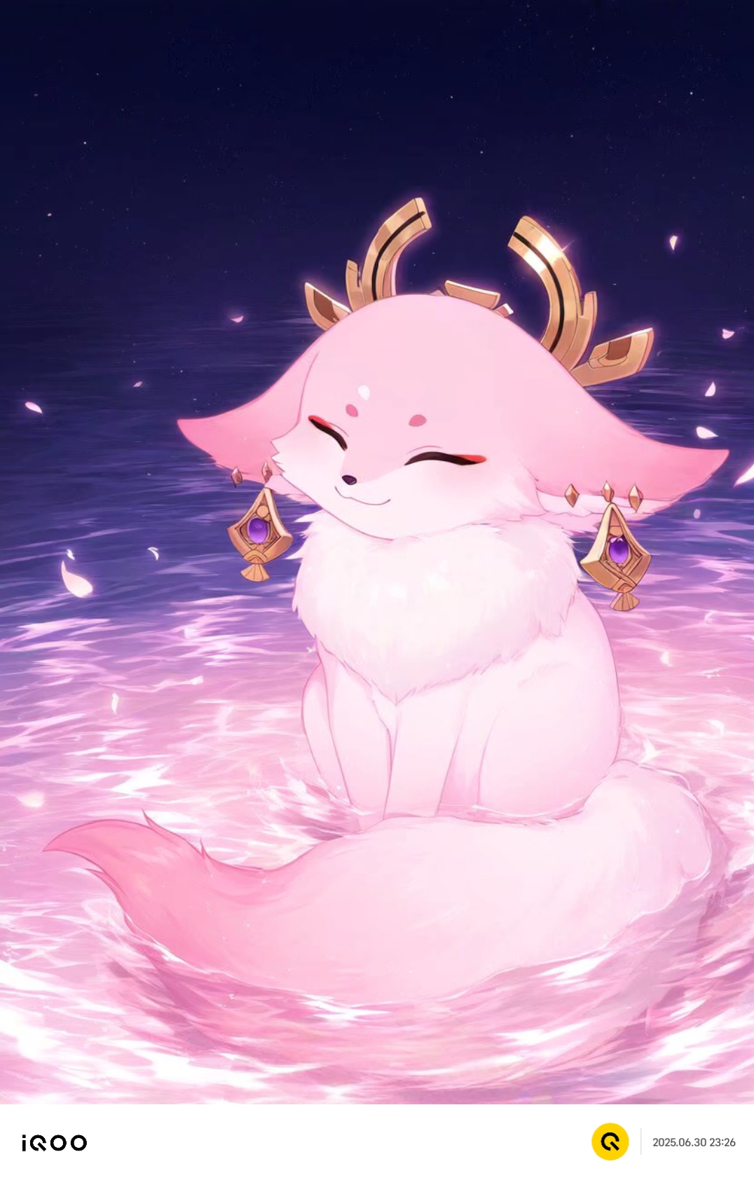 这画面也太治愈了叭,感觉整个人都被治愈了!#狐狸