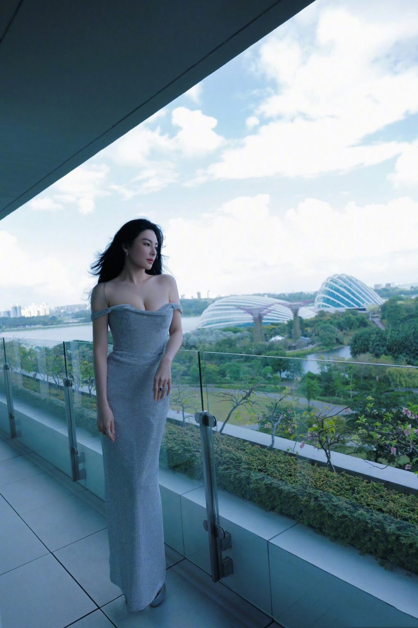 张雨绮一袭银色闪钻抹胸裙,尽显优雅迷人.#明星穿搭# #张雨绮