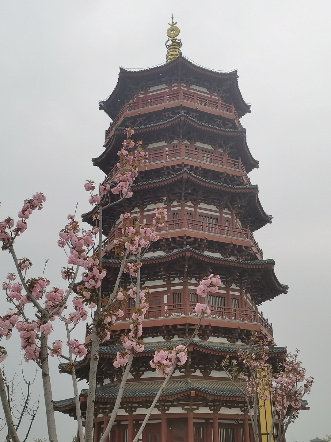 随手拍春天# 洛阳小八景的瀍壑朱樱的朱樱塔