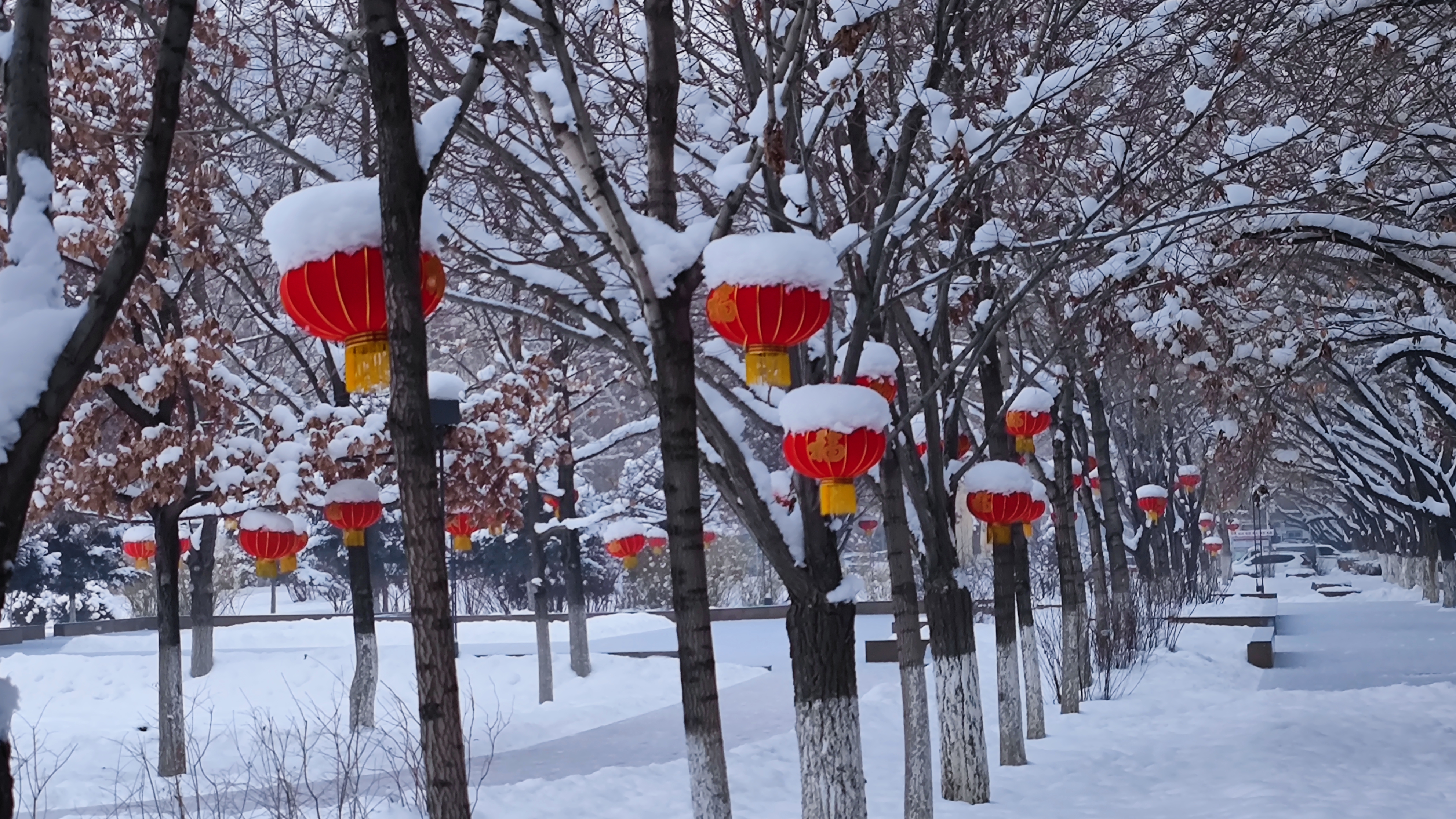 大雪迎新春图片