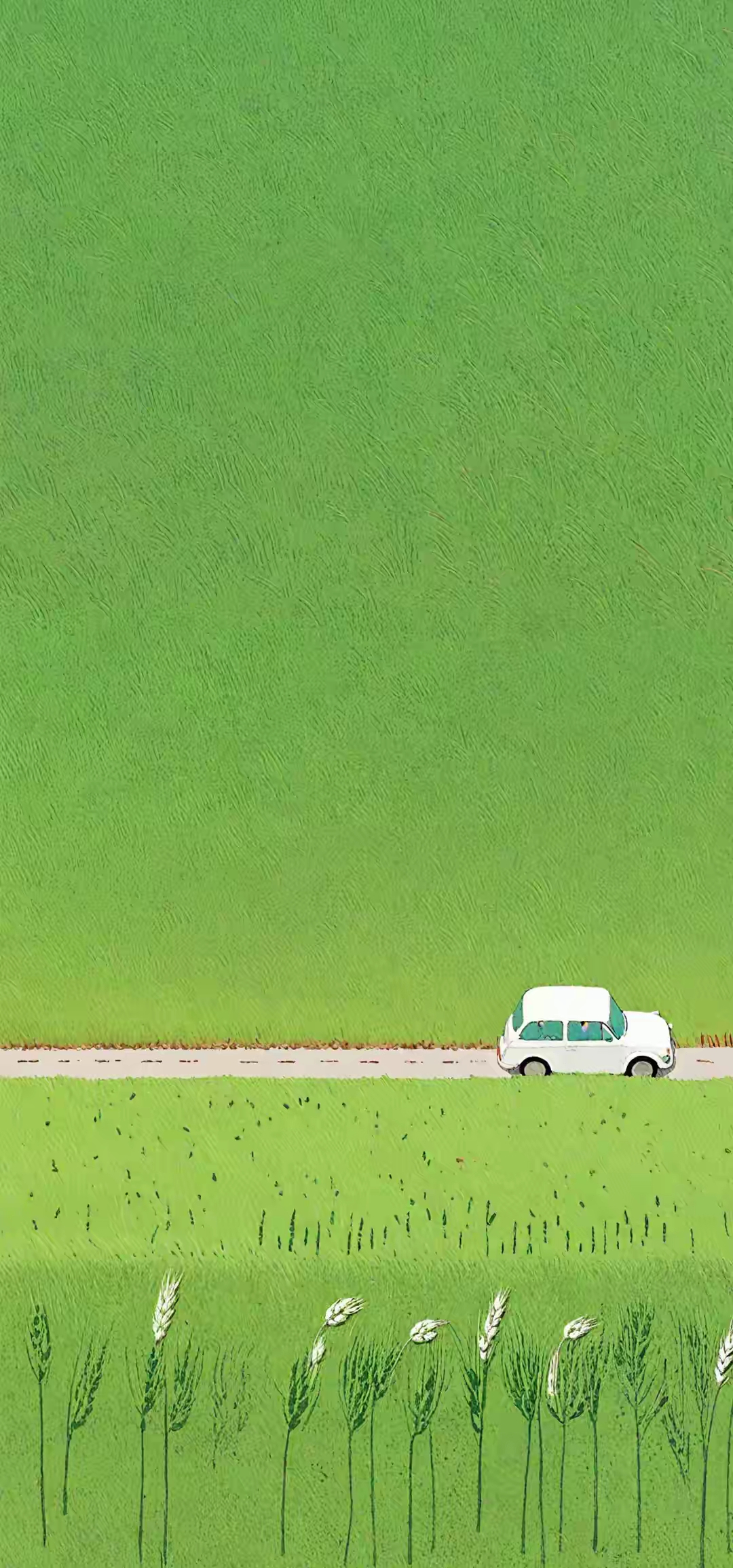 壁纸:治愈系绿色,放松一下眼睛