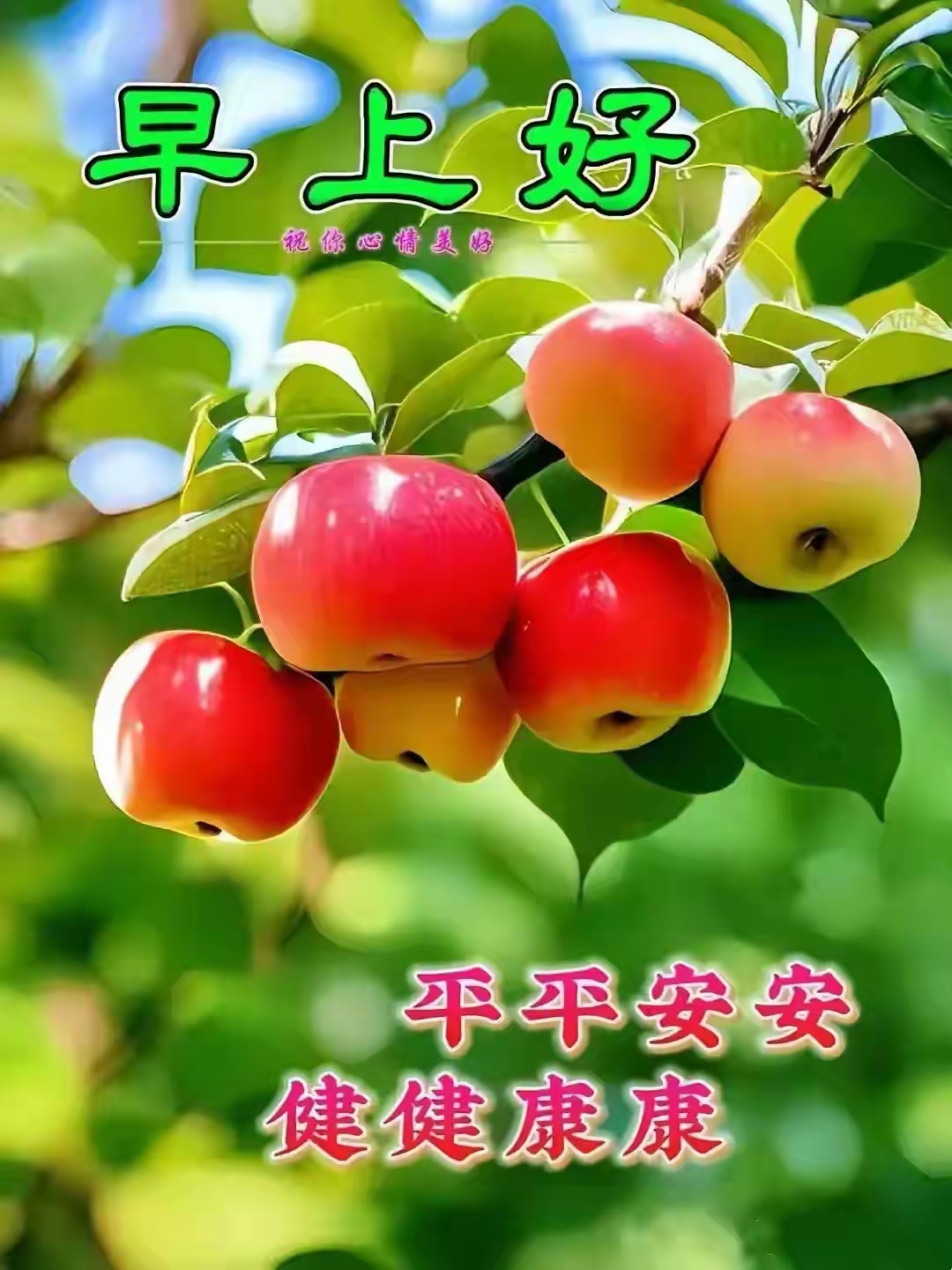 早上好,愿你拥有美好心情,平平安安,健健康康!