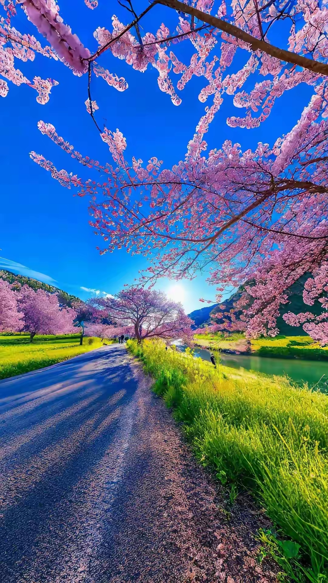 ,拿走不谢!#分享我拍到的春天