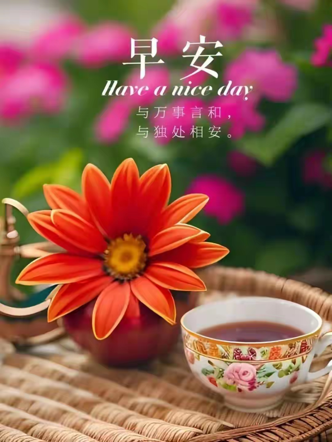 早安美图美文送祝福:所求皆所愿,所盼皆可期,遇见所有美好!