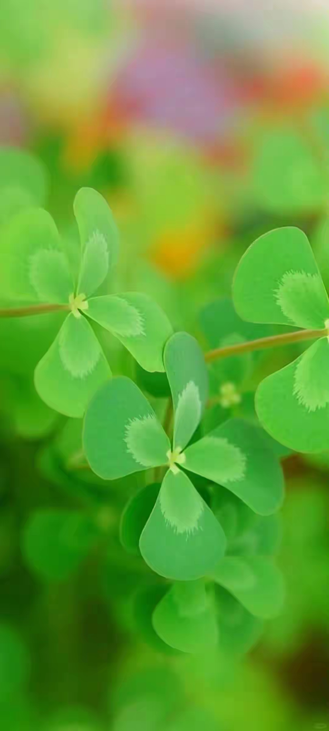 这绿色对眼睛太友好了吧,明眸善睐心旷神怡