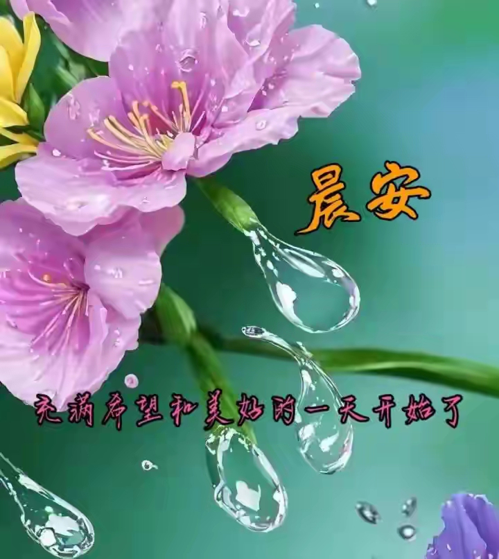 7月1日早安图片图片