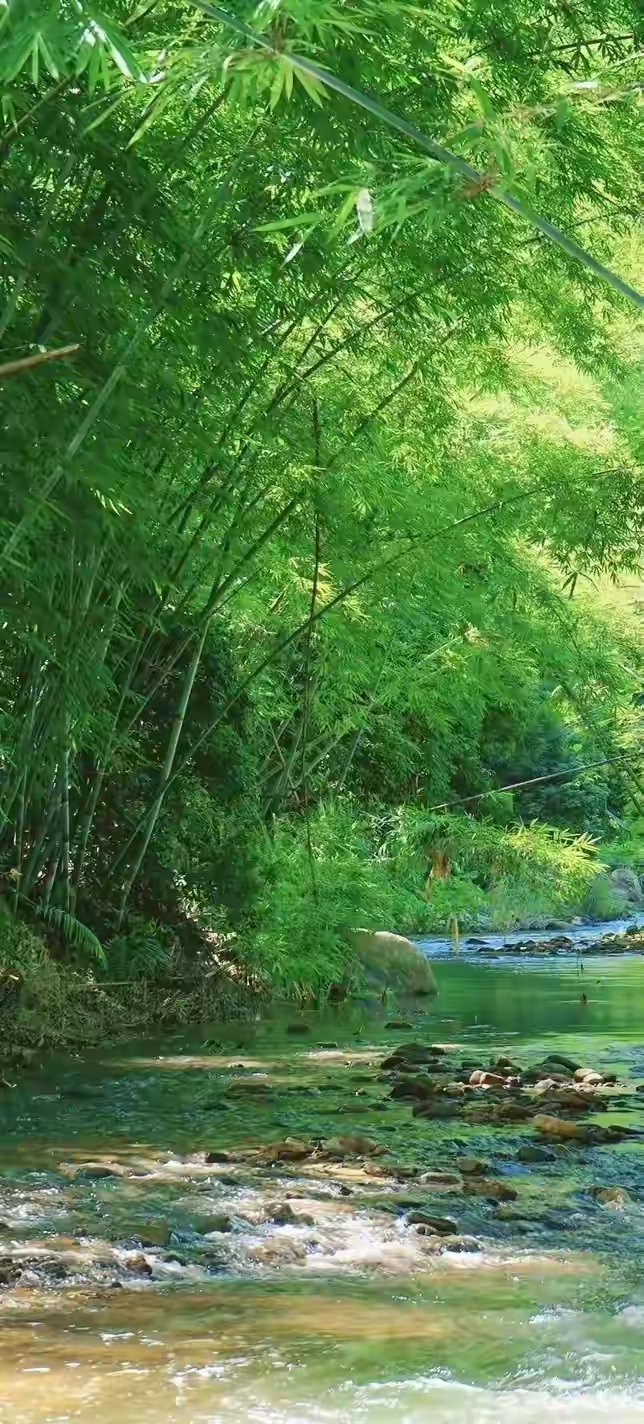 竹林溪水流