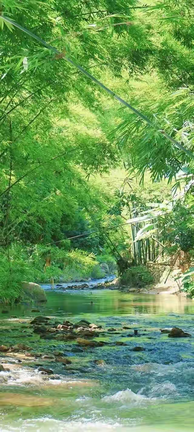 竹林溪水流
