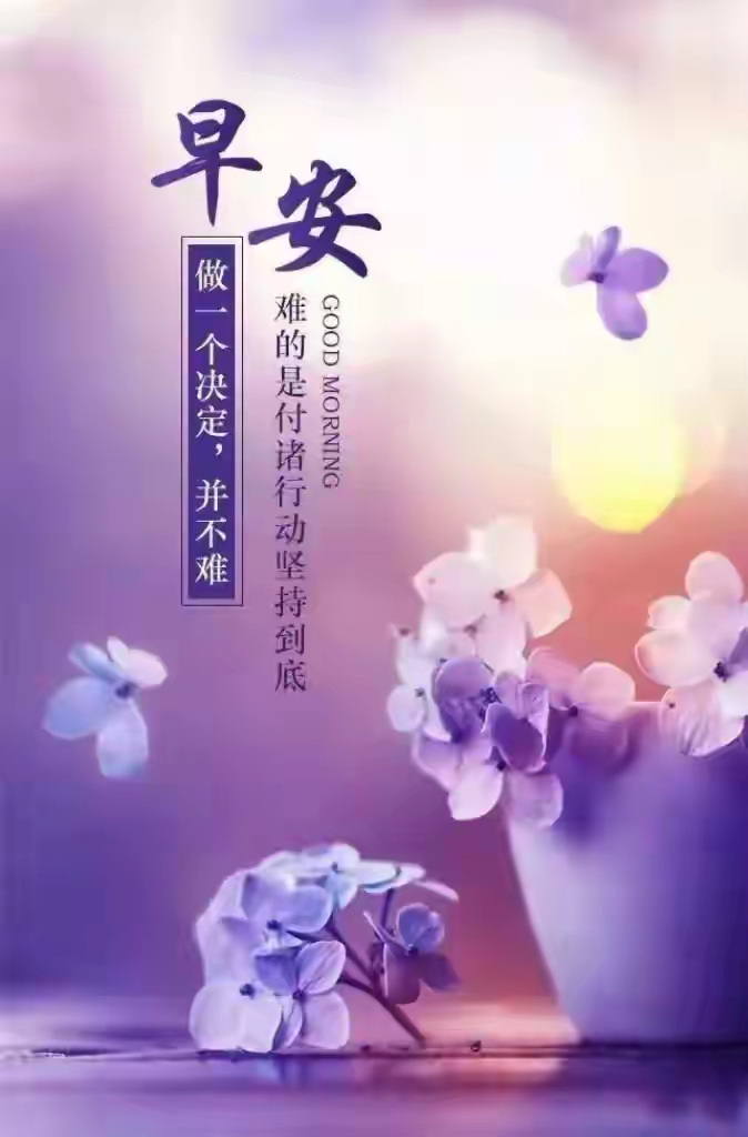 今日最佳早安句子关于友谊(今日最佳早安句子关于友谊的话)