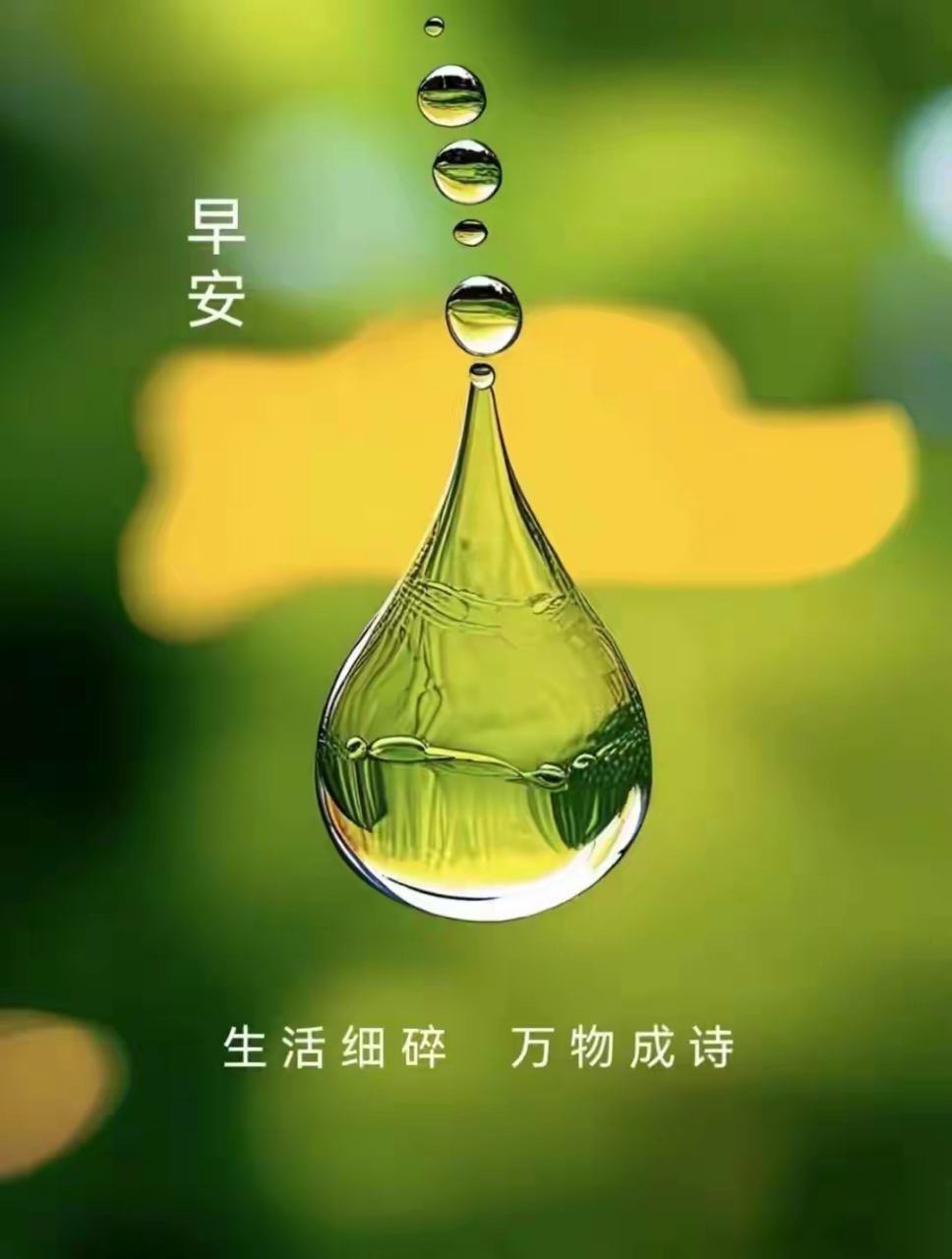 早安美图 ～新的一天,让我们用笑声相伴时光,用快乐涂满心房.