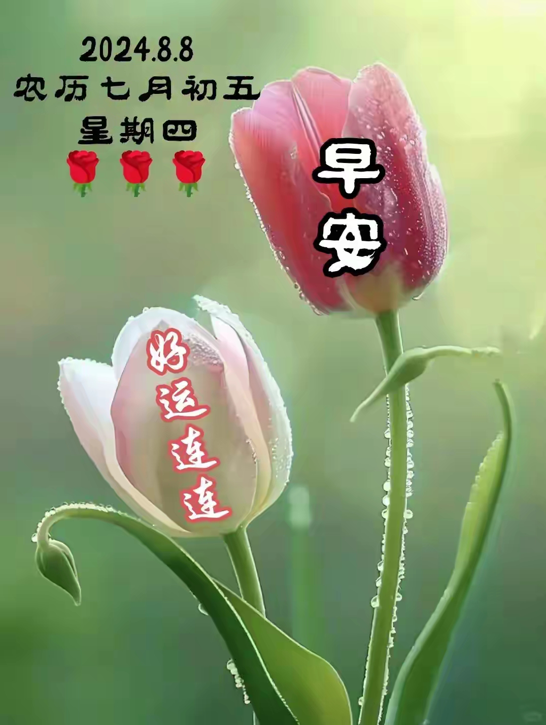 8月8日早安问候上午好 早上好漂亮图片今日最佳祝福语奥运中国加油