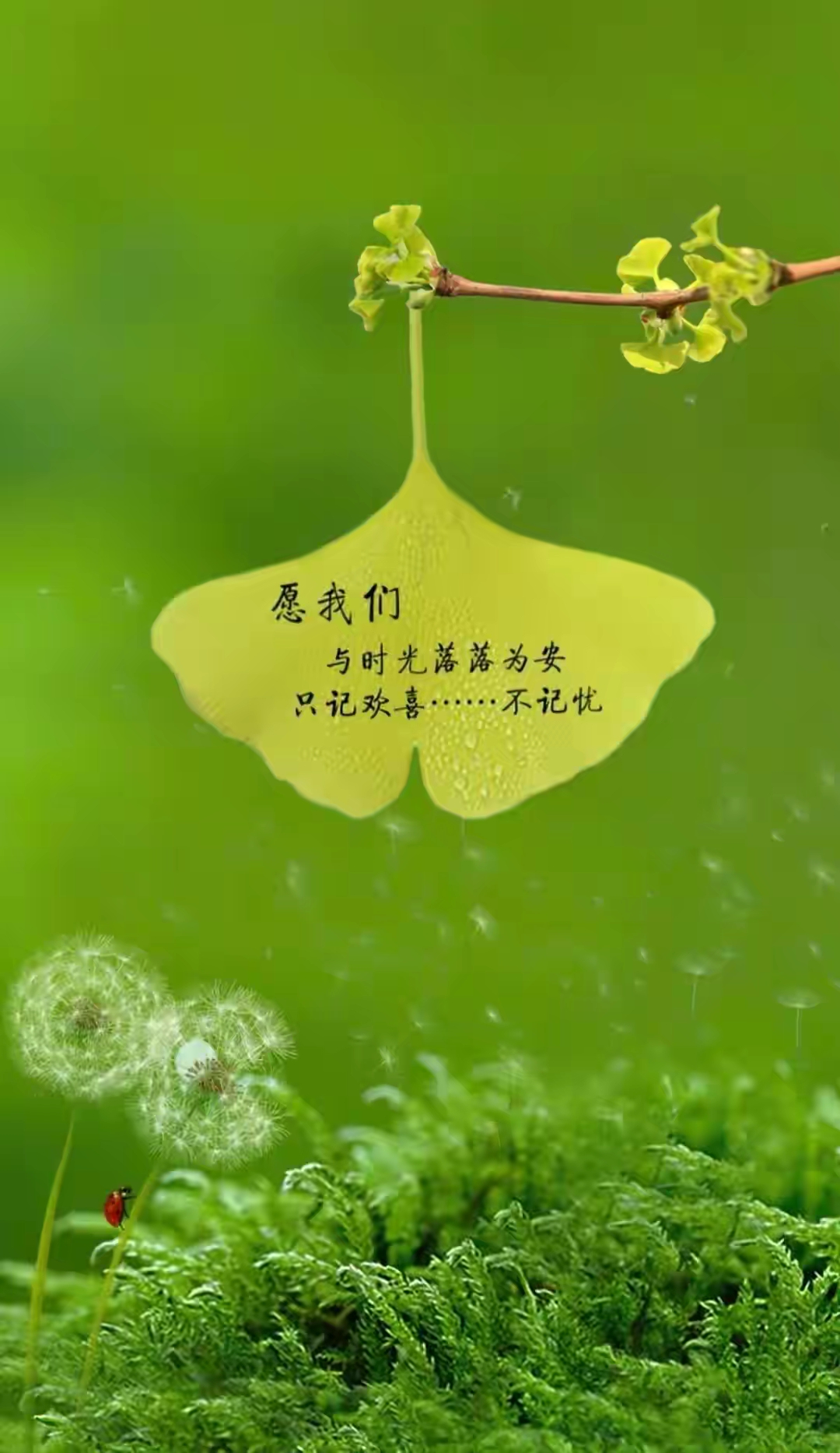 愿我所爱之人余生平安喜乐!