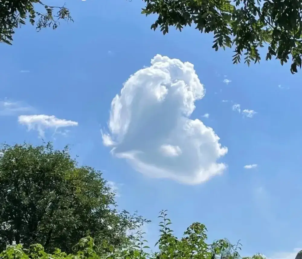 美丽的天空 天空飘过一朵心形云