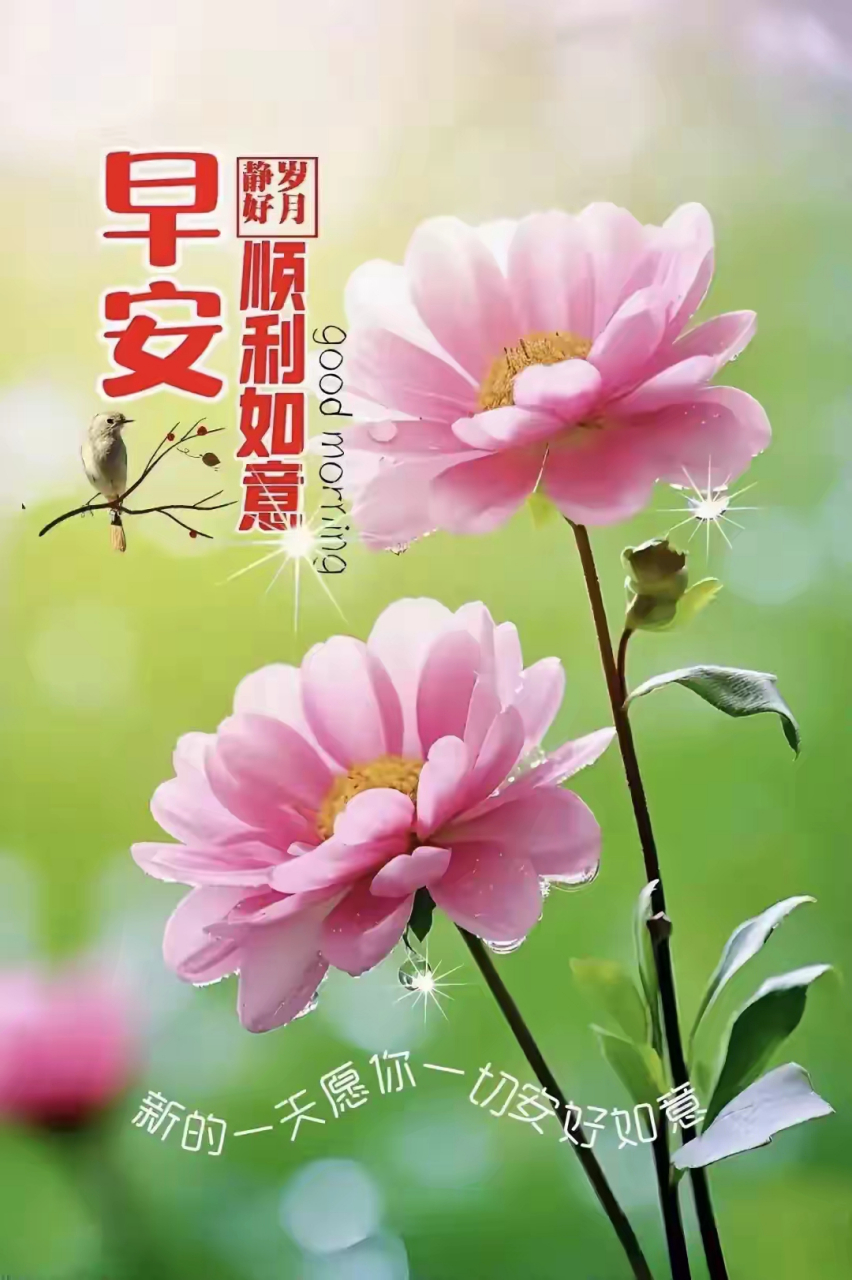 早安吉祥如意安康