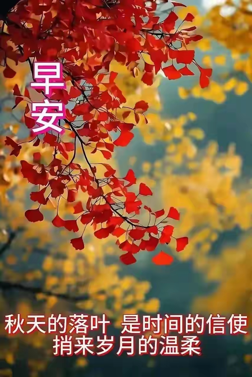 秋日漫步# 早上好!愿清晨的第一缕阳光为你带来满满的活力与喜悦