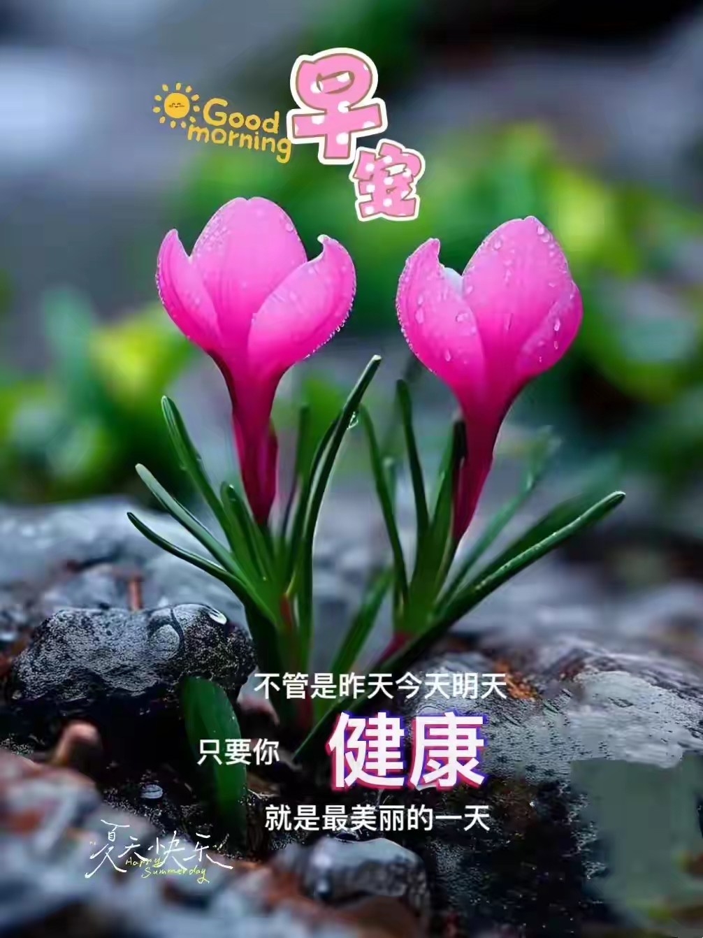 平安喜乐安康,早安吉祥