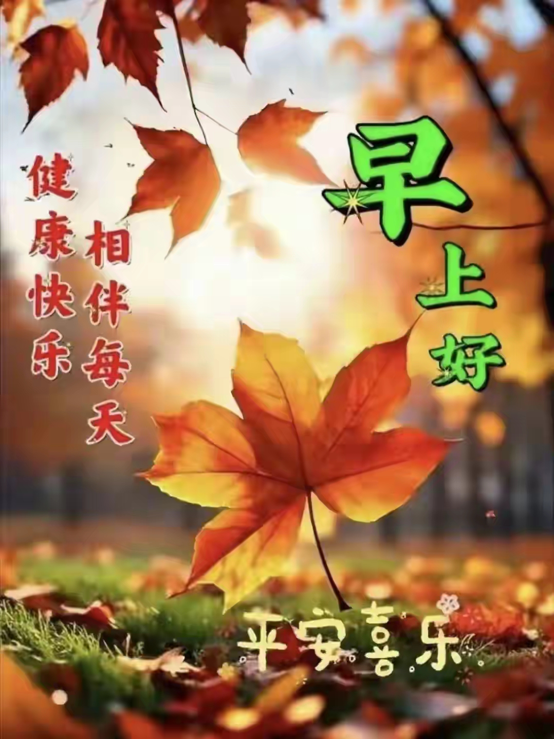 秋日漫步# 早上好!晨曦拉开了帷幕,又是新的一天