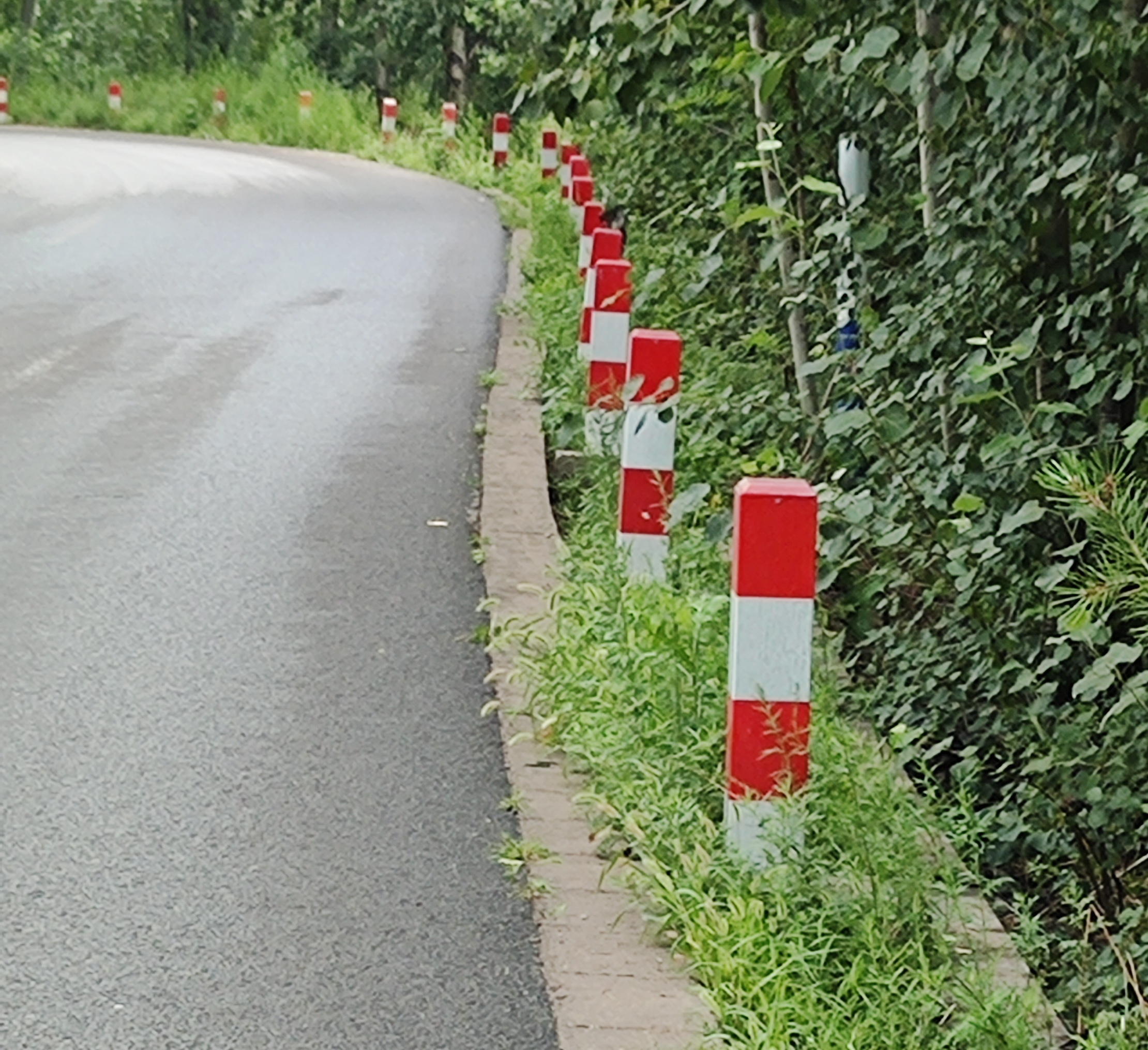道路边的红白警示柱,守护着车辆与行人的安全.
